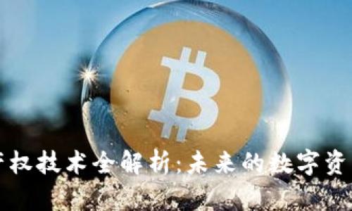 区块链自主产权技术全解析：未来的数字资产保护与管理