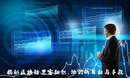   
揭秘区块链黑客组织：他们的目标与手段