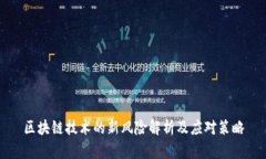 区块链技术的新风险解析