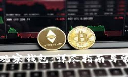 如何建立TP观察钱包：详尽指南与常见问题解答