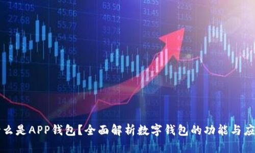 什么是APP钱包？全面解析数字钱包的功能与应用