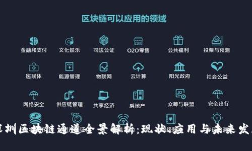 深圳区块链通道全景解析：现状、应用与未来发展