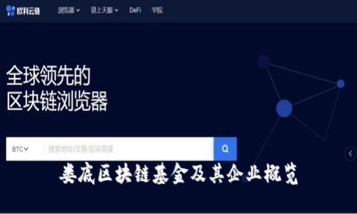 娄底区块链基金及其企业概览