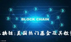 探索区块链：美国热门基