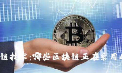 探索侧链技术：哪些区块链正在采用此创新？