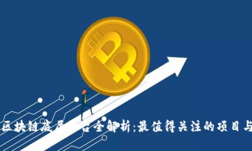 国内区块链底层平台全解析：最值得关注的项目与技术