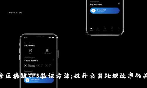 探索区块链TPS验证方法：提升交易处理效率的关键