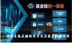 : 中国主流区块链项目及其