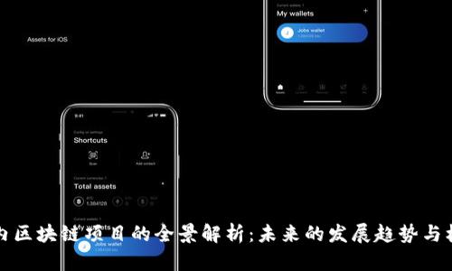 国内区块链项目的全景解析：未来的发展趋势与机遇