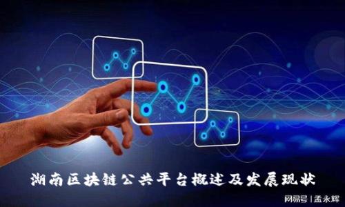 湖南区块链公共平台概述及发展现状