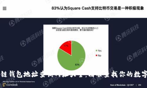 区块链钱包地址查询网址大全：精准查找你的数字资产