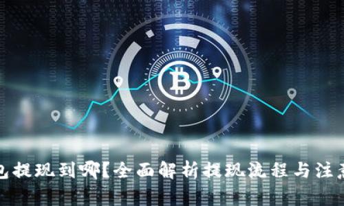 tp钱包提现到哪？全面解析提现流程与注意事项
