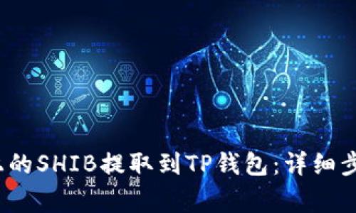  如何将火币上的SHIB提取到TP钱包：详细步骤与注意事项