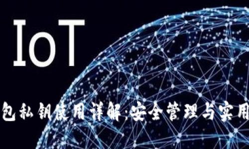 TP钱包私钥使用详解：安全管理与实用指南
