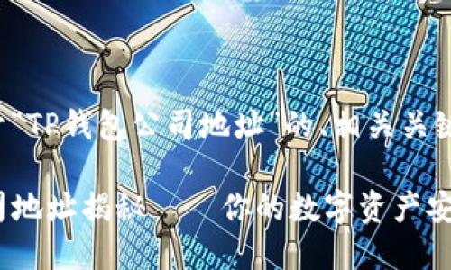 以下是关于“TP钱包公司地址”的、相关关键词和大纲。

TP钱包公司地址揭秘——你的数字资产安全港
