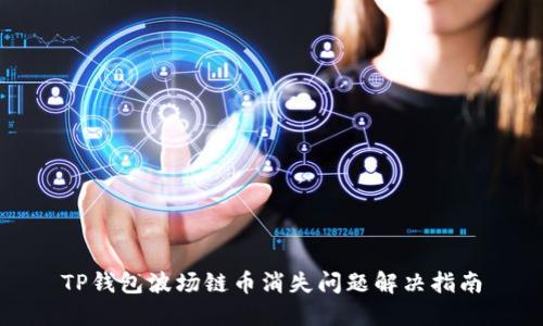 TP钱包波场链币消失问题解决指南