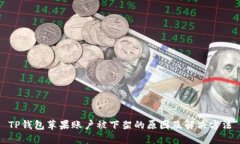 TP钱包苹果账户被下架的原因及解决方法