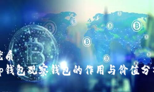 优质
tp钱包观察钱包的作用与价值分析