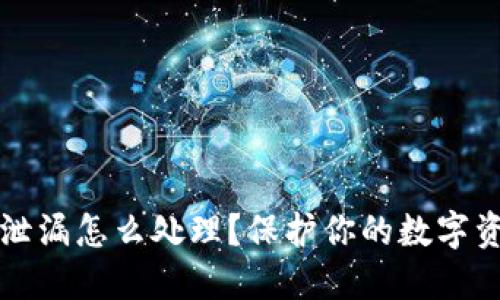 TP钱包私钥泄漏怎么处理？保护你的数字资产安全指南