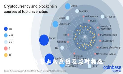 TP钱包禁止的原因及应对措施