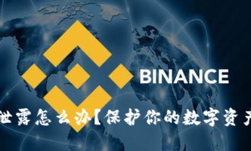 钱包助记词泄露怎么办？保护你的数字资产的全面指南