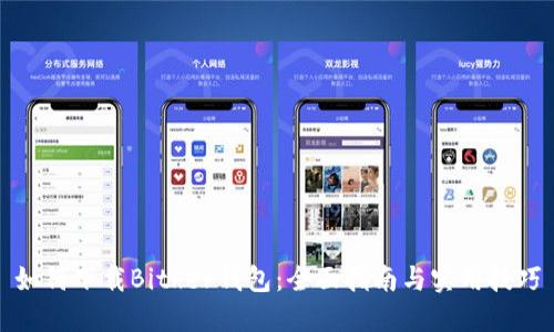 如何下载Bither钱包：全面指南与实用技巧