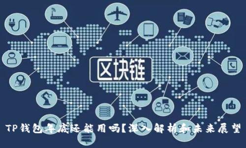 TP钱包年底还能用吗？深入解析和未来展望
