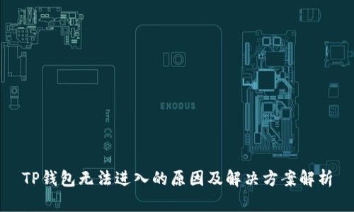 TP钱包无法进入的原因及解决方案解析