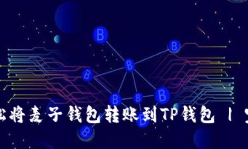 如何轻松将麦子钱包转账到TP钱包 | 完整指南