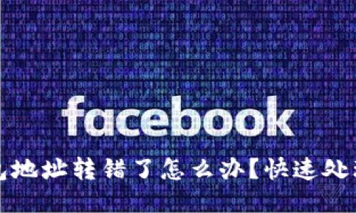 TP钱包地址转错了怎么办？快速处理指南