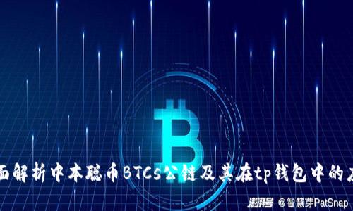 全面解析中本聪币BTCs公链及其在tp钱包中的应用