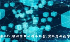 TP钱包支持BSV：轻松管理比