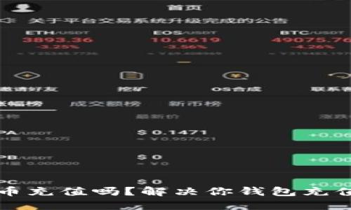 TP钱包支持人民币充值吗？解决你钱包充值难题的终极指南