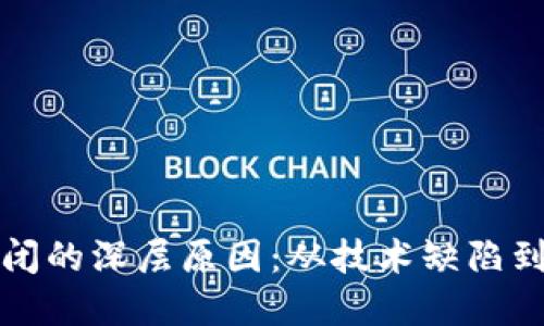 区块链倒闭的深层原因：从技术缺陷到市场变化