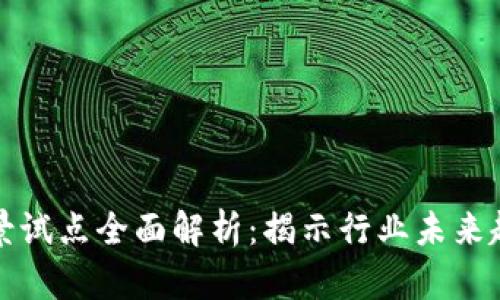 区块链应用场景试点全面解析：揭示行业未来趋势与实际案例