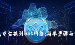 如何在TP钱包中切换到BS