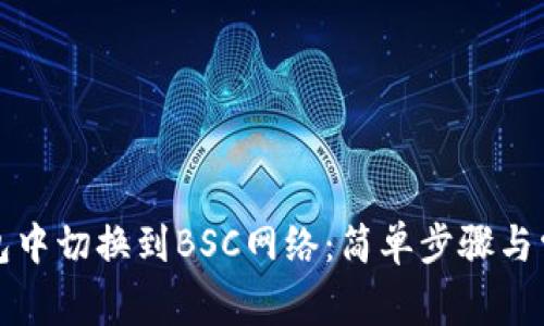 如何在TP钱包中切换到BSC网络：简单步骤与常见问题解答