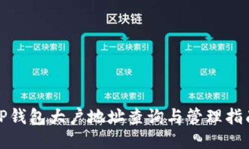 TP钱包大户地址查询与管理指南