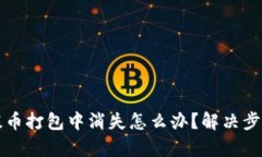 TP钱包提币打包中消失怎么