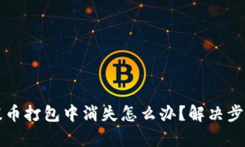 TP钱包提币打包中消失怎么办？解决步骤全解析