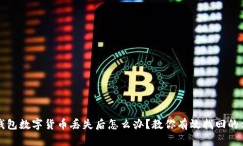 TP钱包数字货币丢失后怎么办？教你有效找回的方法