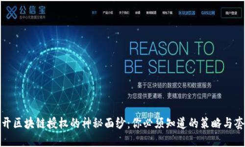 揭开区块链授权的神秘面纱：你必须知道的策略与套路