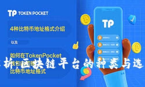 全面解析：区块链平台的种类与选择指南