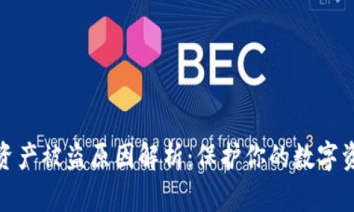 TP钱包资产被盗原因解析：保护你的数字资产安全