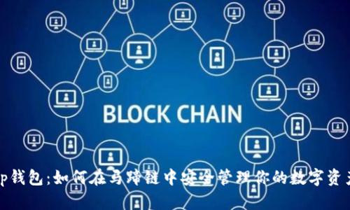 tp钱包：如何在马蹄链中安全管理你的数字资产