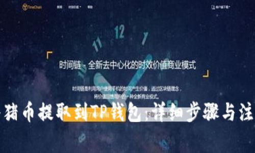 如何将猪币提取到TP钱包：详细步骤与注意事项