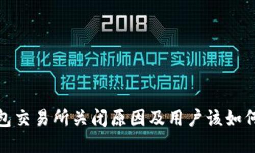 TP钱包交易所关闭原因及用户该如何应对