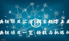 厦门最新区块链项目汇总