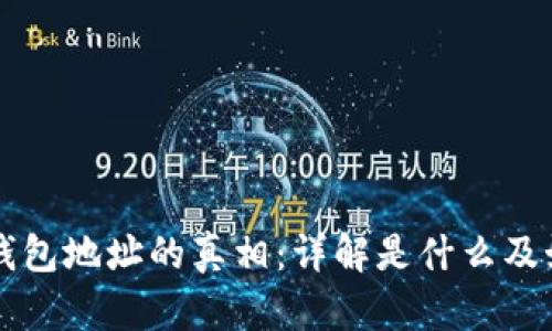 揭示TP钱包地址的真相：详解是什么及如何使用