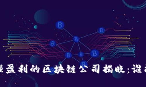 2023年最强盈利的区块链公司揭晓：谁能引领未来？